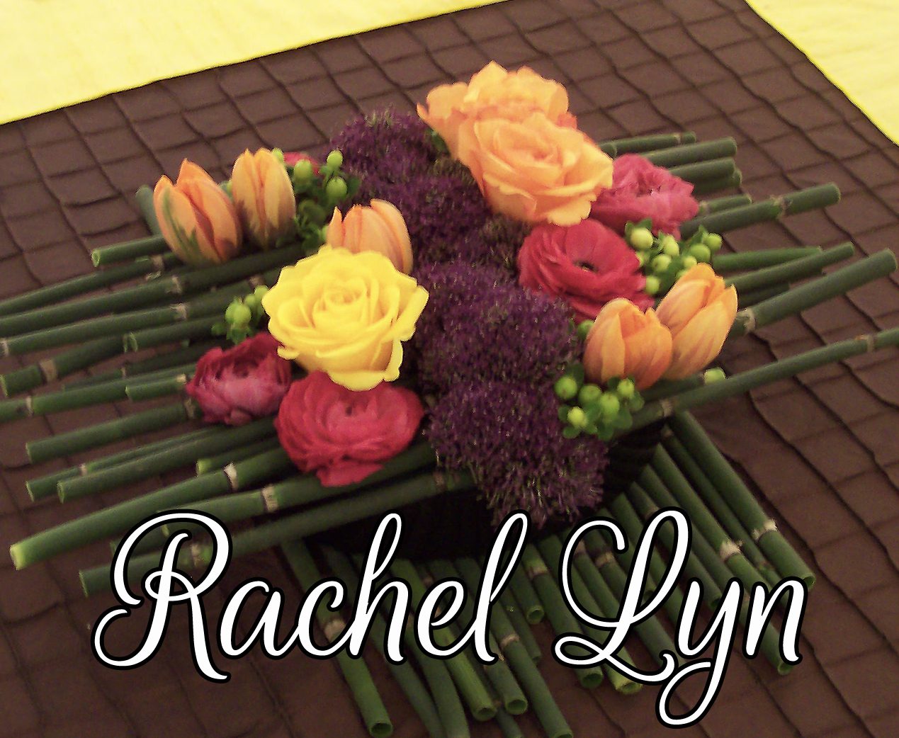 Master Rachel Lyn 2 flattened